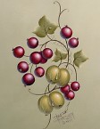 gooseberries and currants